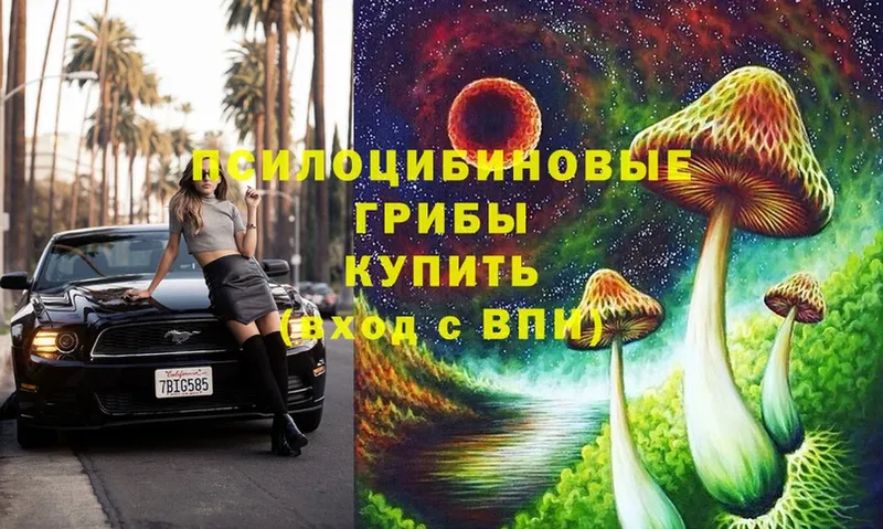 Псилоцибиновые грибы Magic Shrooms  Белорецк 